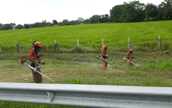 Servicios Ecoambientales U.R SAS