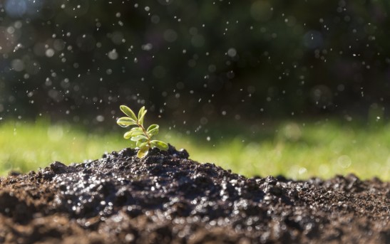Servicios Ecoambientales U.R SAS