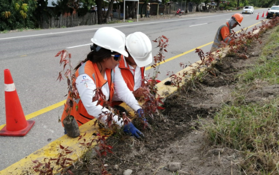 Servicios Ecoambientales U.R SAS