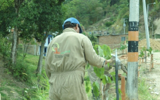 Servicios Ecoambientales U.R SAS