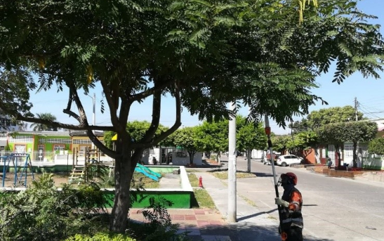 Servicios Ecoambientales U.R SAS