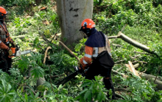 Servicios Ecoambientales U.R SAS