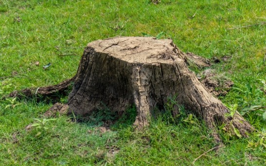 Servicios Ecoambientales U.R SAS