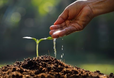 Servicios Ecoambientales U.R SAS Ibague, Colombia
